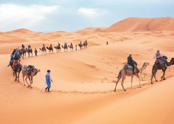 Travelers on camels during 3 days tour from Marrakech to Merzouga desert
