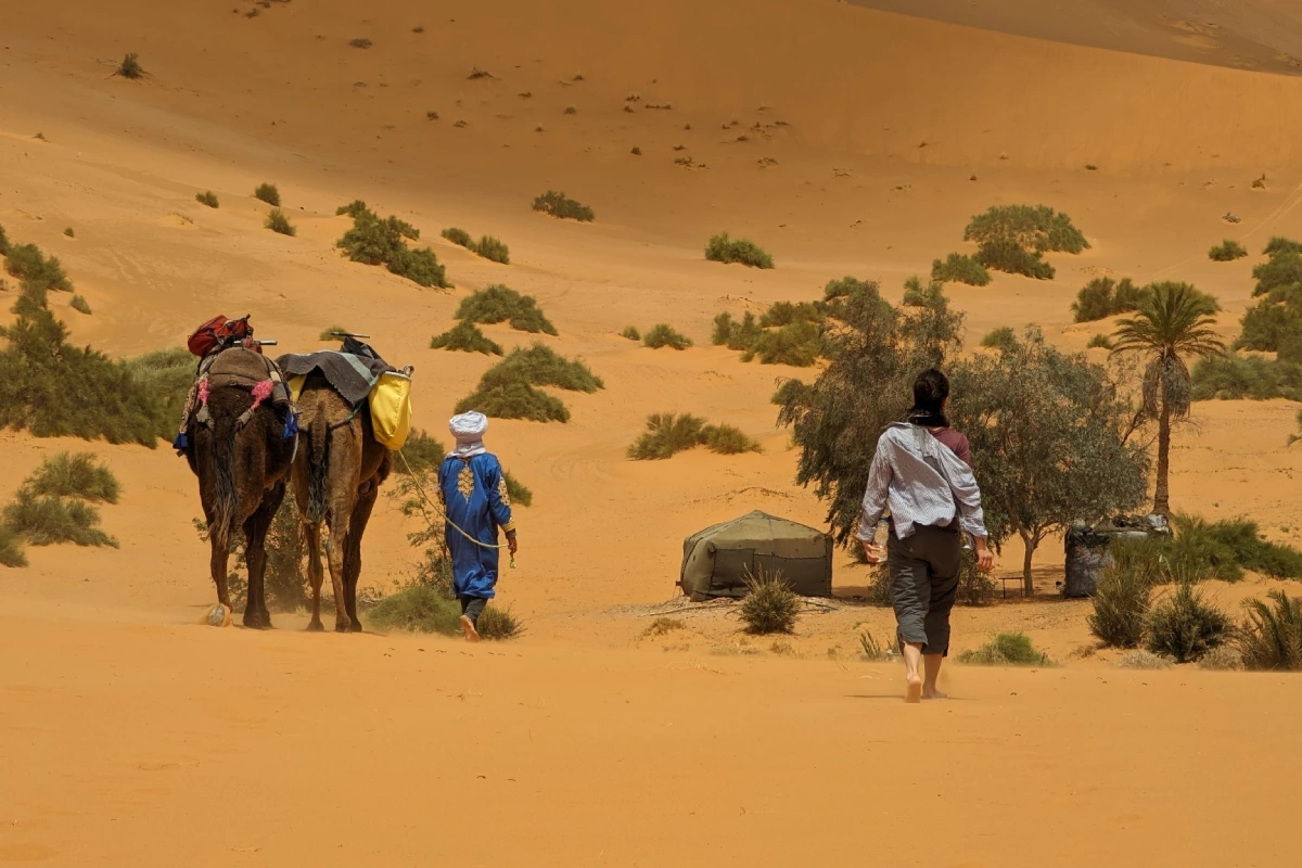 Merzouga Activities 10 Guided hiking group walking across Merzouga sand dunes