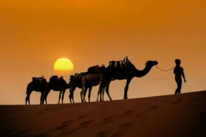 5 Days Tour from Marrakech to Merzouga 8 3 day desert tour from Marrakech camel caravan at sunset in Erg Chebbi dunes