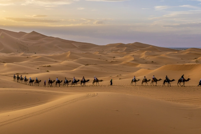 Merzouga Activities 2 Tourists on camels watching sunset over Erg Chebbi dunes in Merzouga
