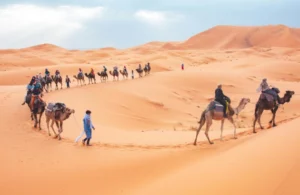 5 Days Tour from Marrakech to Merzouga 6 Camel trekking in Erg Chebbi dunes during sunset on a 4 days tour from Marrakech to Merzouga