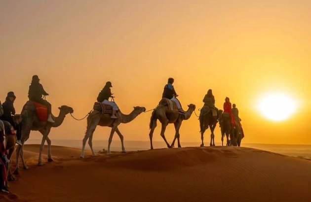 Camel caravan silhouetted against sunrise in Merzouga desert