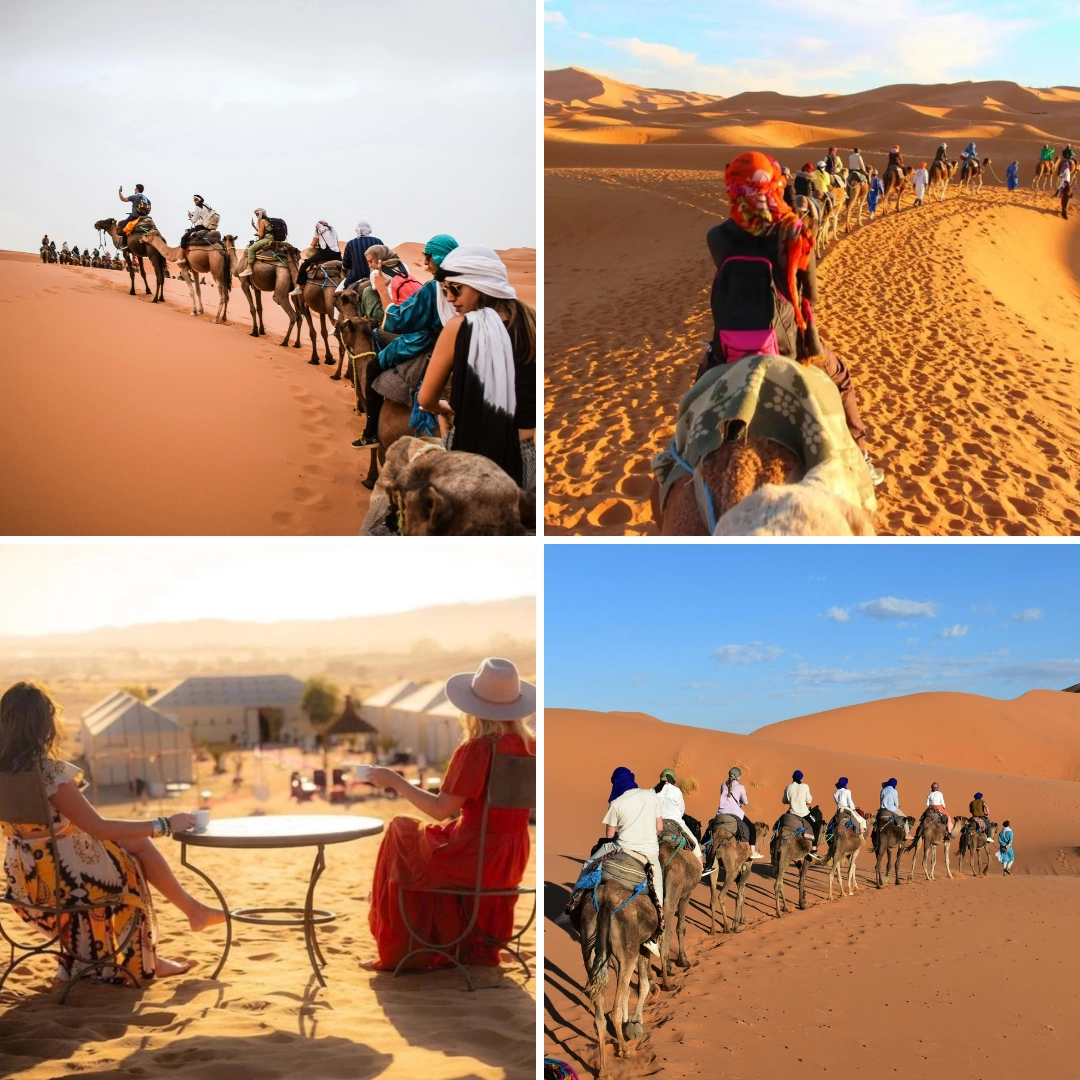 Merzouga camel ride