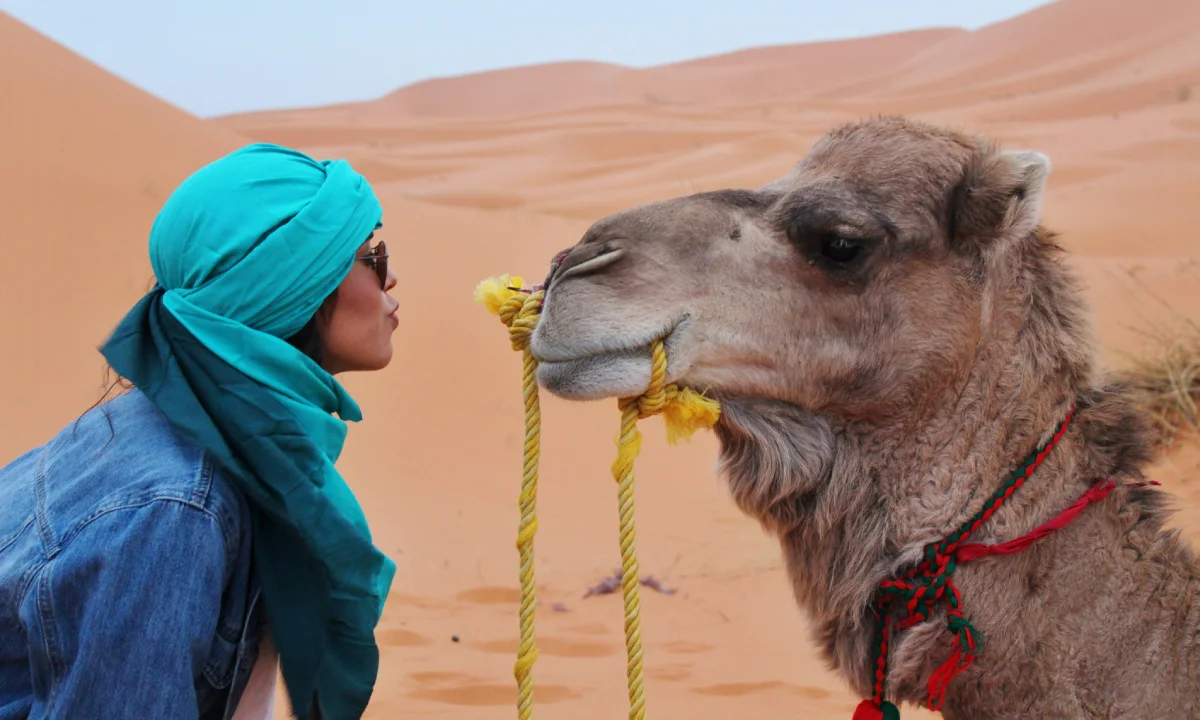 Casablanca Tours 2 Morocco 12 days itinerary