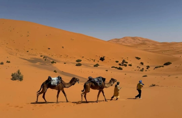Overnight Merzouga camel trek