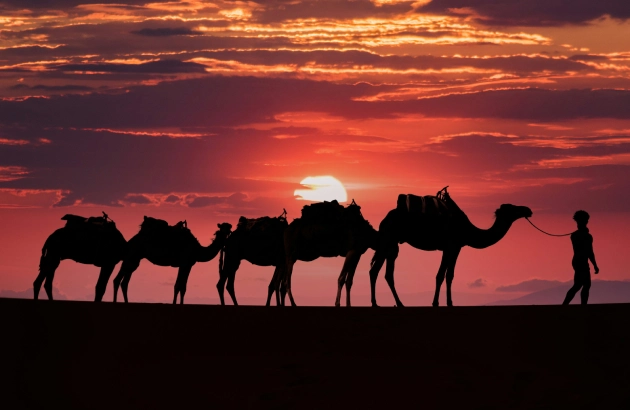 Sunset Merzouga camel ride