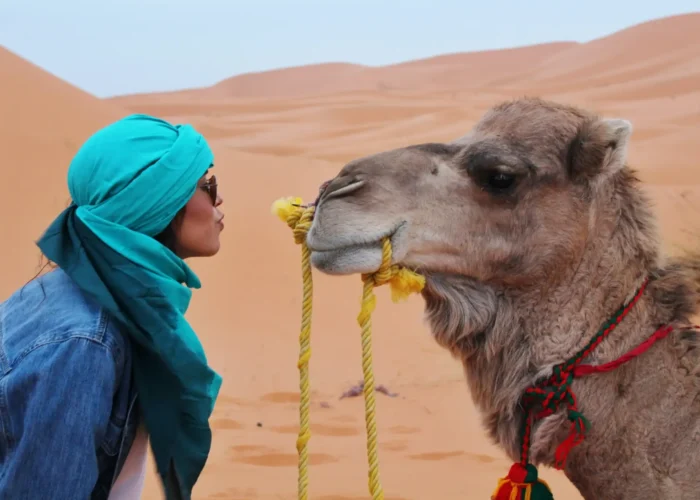 4 day tour Marrakech to Merzouga (1)