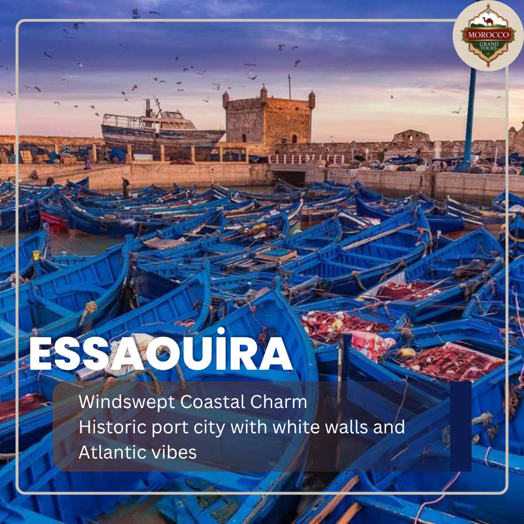 Essaouira: Coastal Charm & Atlantic Breezes