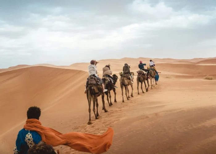Dromedary trek during a 5 days tour from Marrakech to Merzouga Sahara.